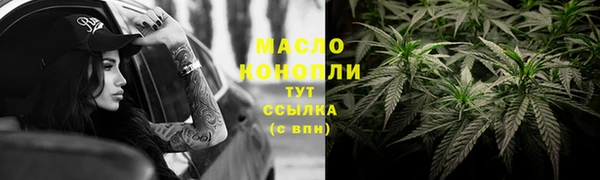 тгк Сатка