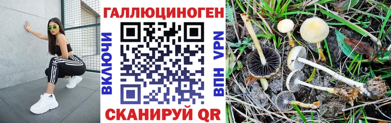 хочу наркоту  OMG как войти  мориарти состав  Менделеевск  Псилоцибиновые грибы Magic Shrooms 