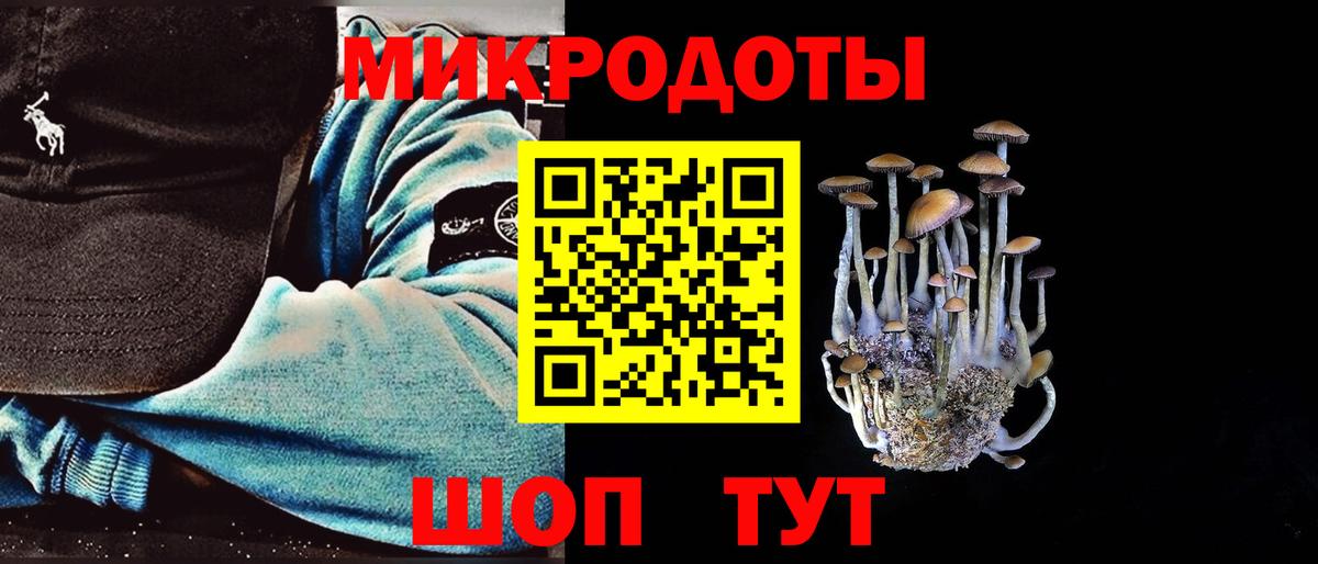 Менделеевск  Галлюциногенные грибы мицелий  Псилоцибиновые грибы прущие грибы  Вход с VPN 