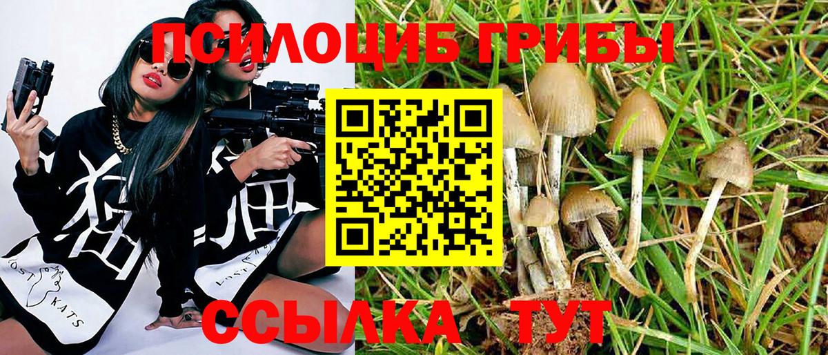 A PVP Менделеевск
